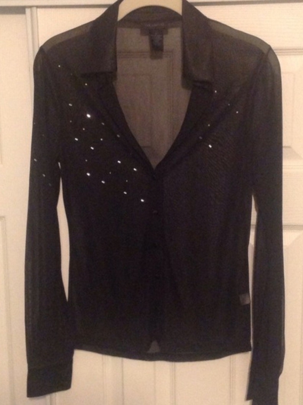 The Limited Black Sheer Blouse with Subtle Sparkle